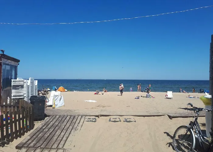 Brzezno * غدانسك